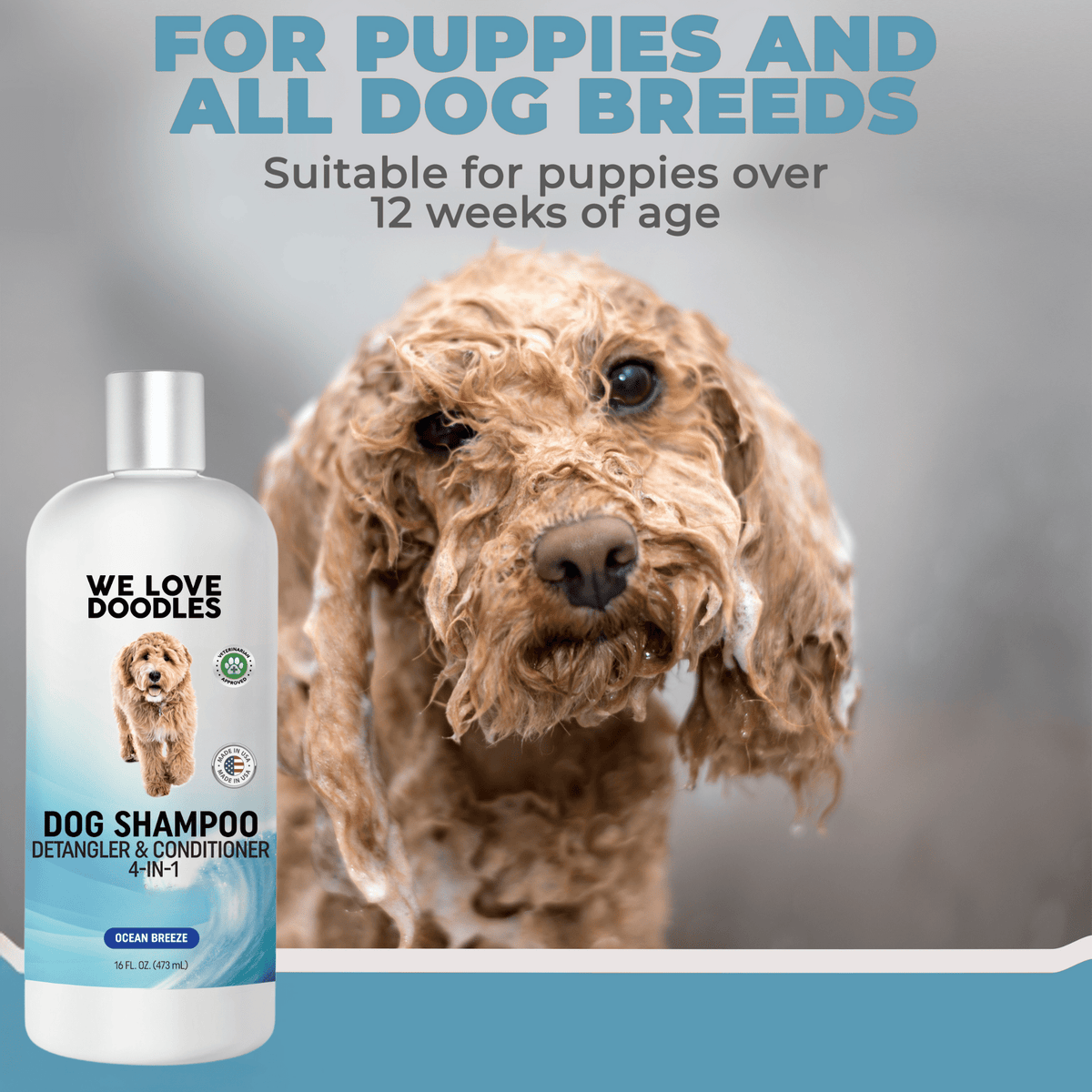 Dog Shampoo New Scents - Mango & Ocean Breeze (4-in-1)