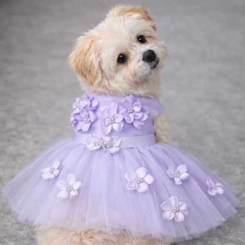 Heads or Tails Pup Purplele Ceremony Dog Dress