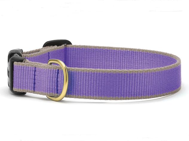 Color Market Dog Collar - Narrow