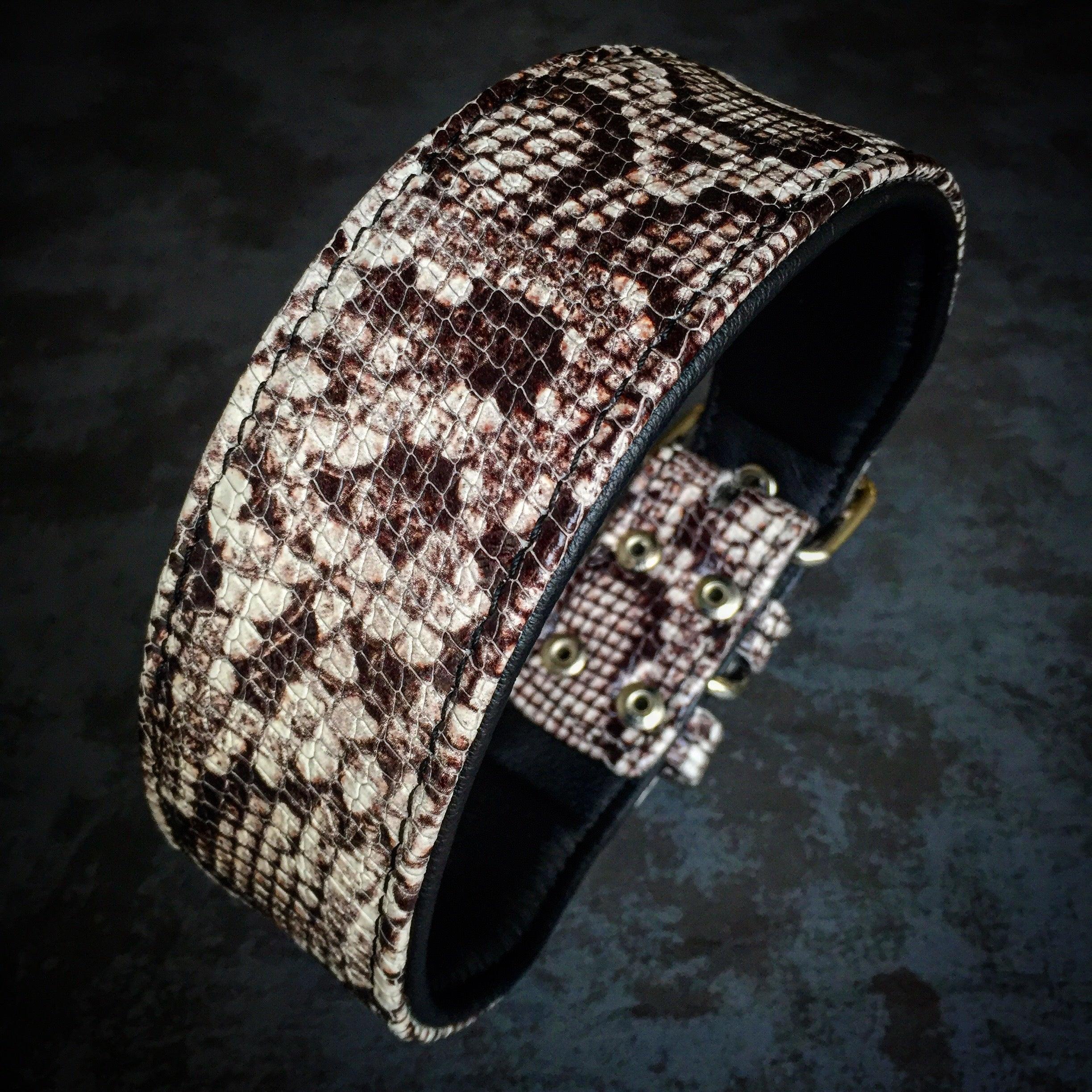 The Rock Python collar