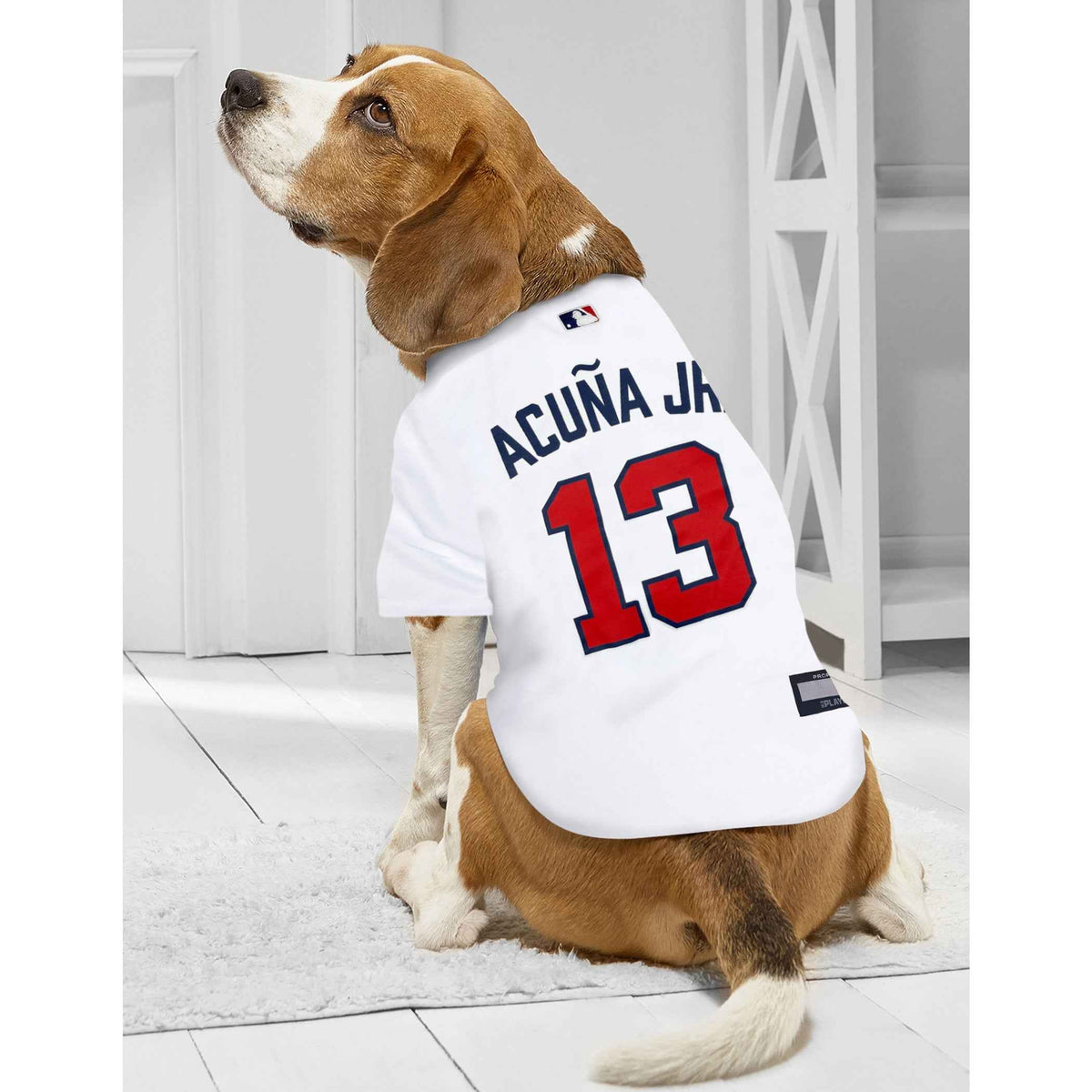 MLB Atlanta Braves Ronald Acuna Jr. Mesh Pet Jersey