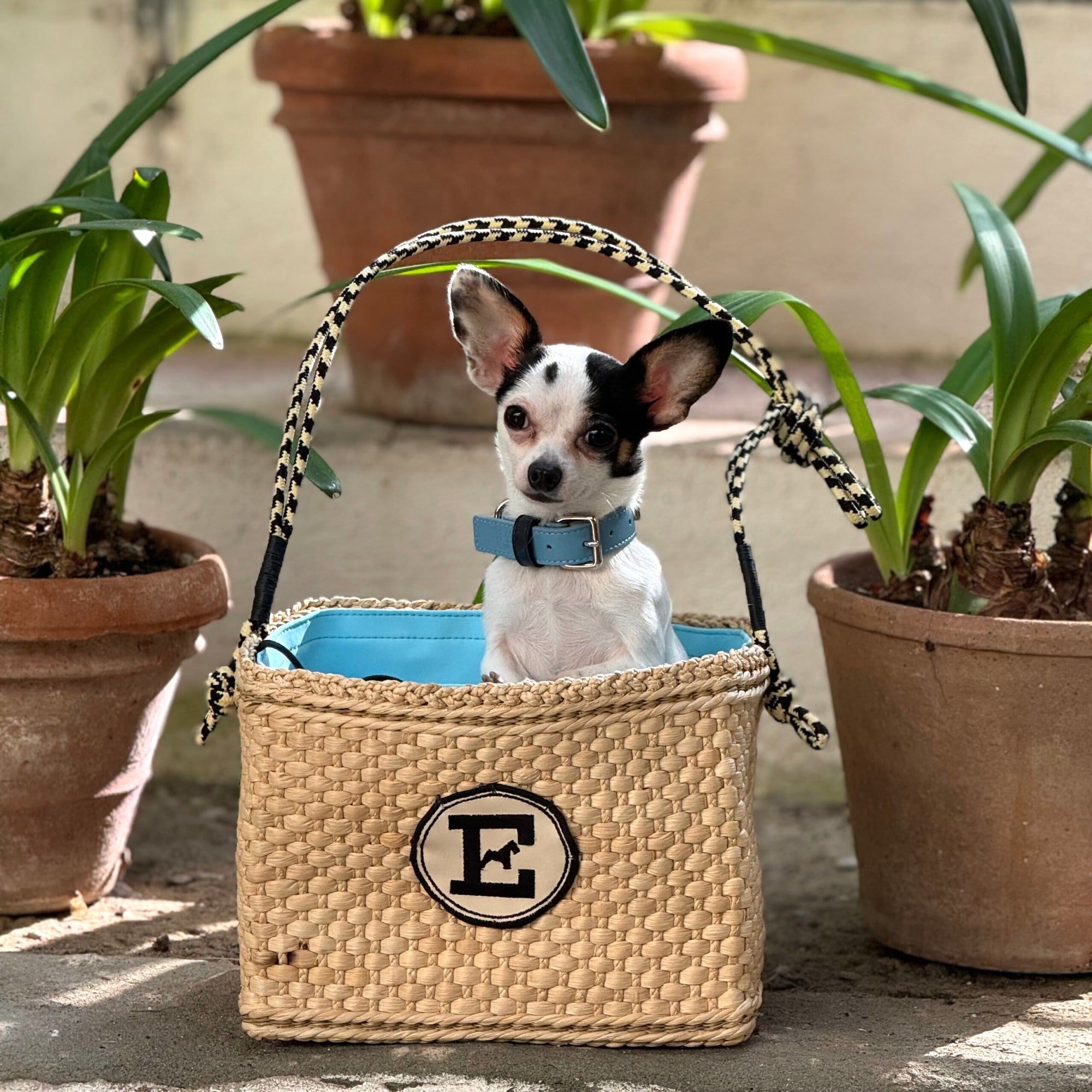 Raffia Nest Bag: Couture Hand-Woven Dog Carrier | Italian Luxury