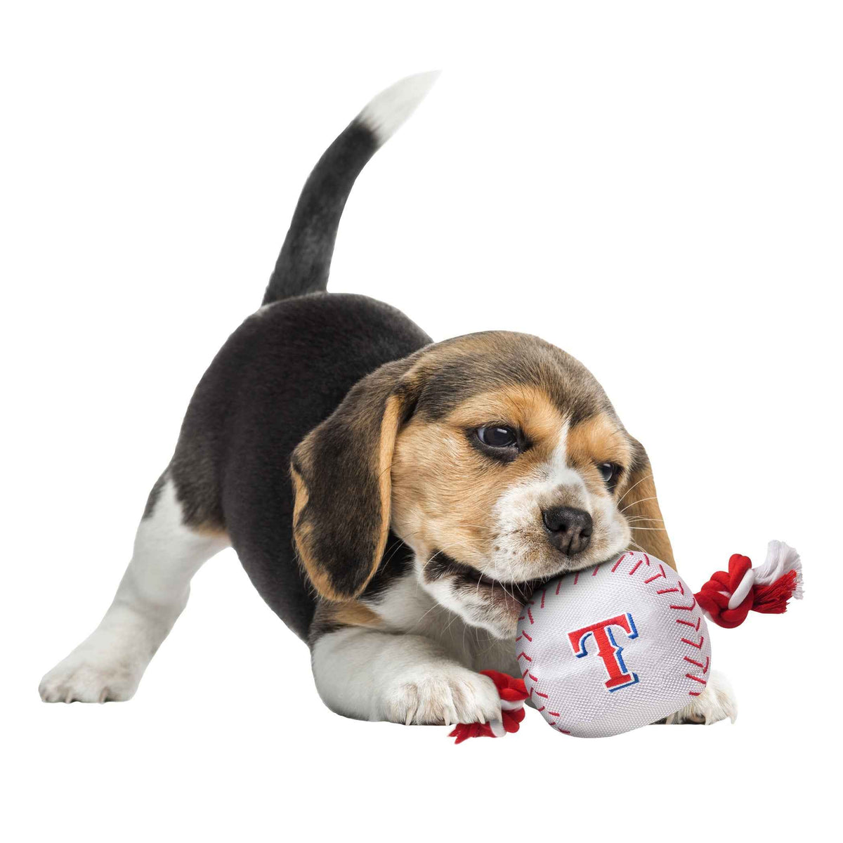 Texas Rangers Nylon Baseball Rope Toy