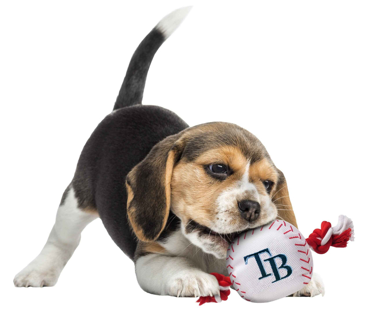 Tampa Bay Rays Nylon Baseball Rope Toy