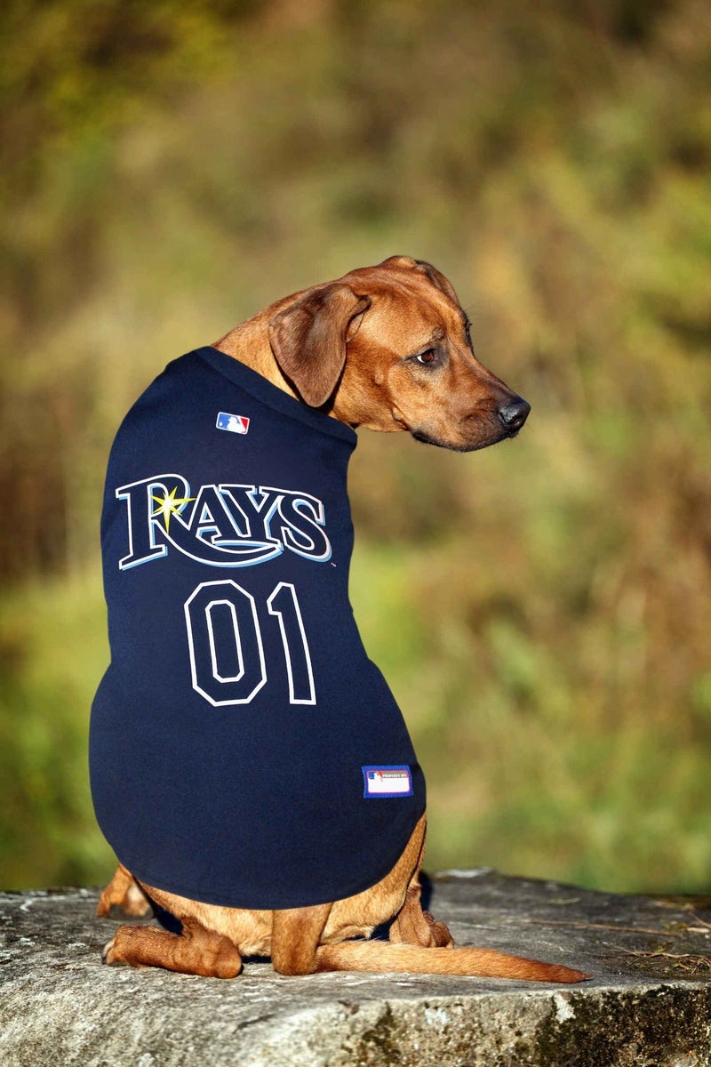 MLB Tampa Bay Rays Mesh Pet Jersey