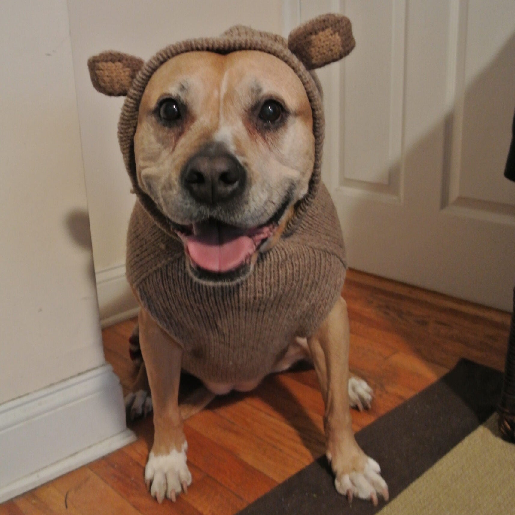 Chilly Dog Monkey Hoodie Dog Sweater