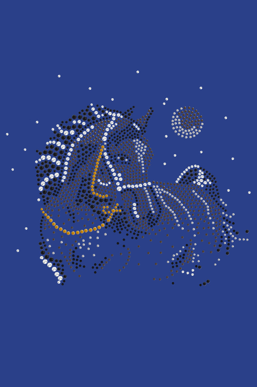 Horse with Stars & Moon - Womens T-shirt
