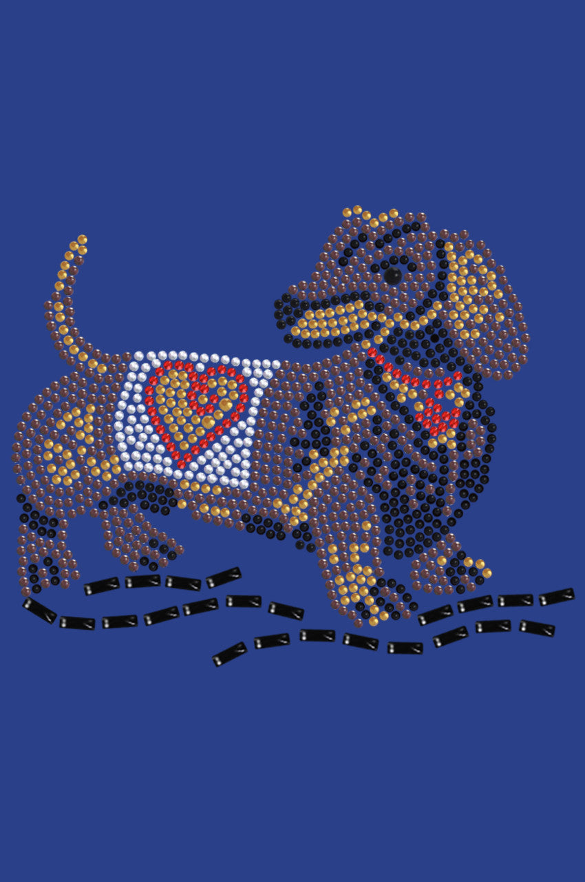 Dachshund 1 - bandana