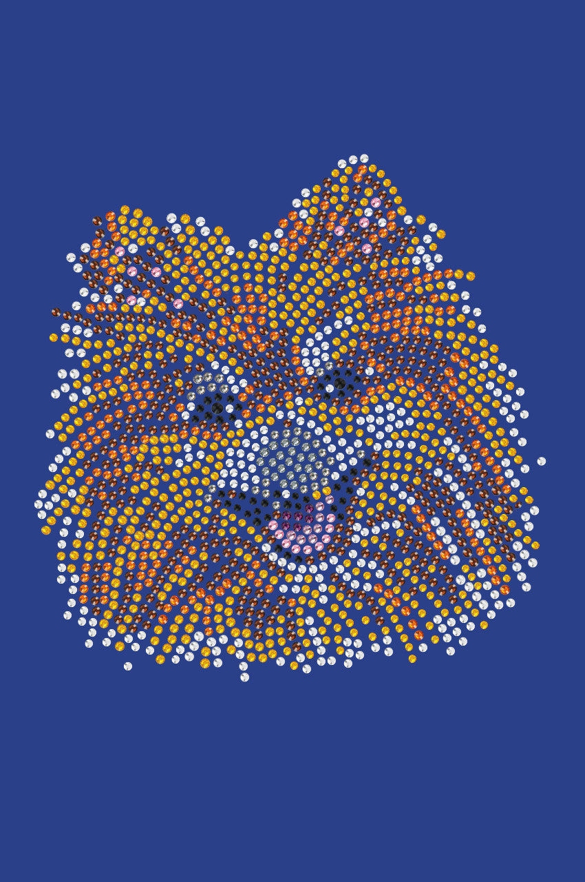 Pomeranian - bandana