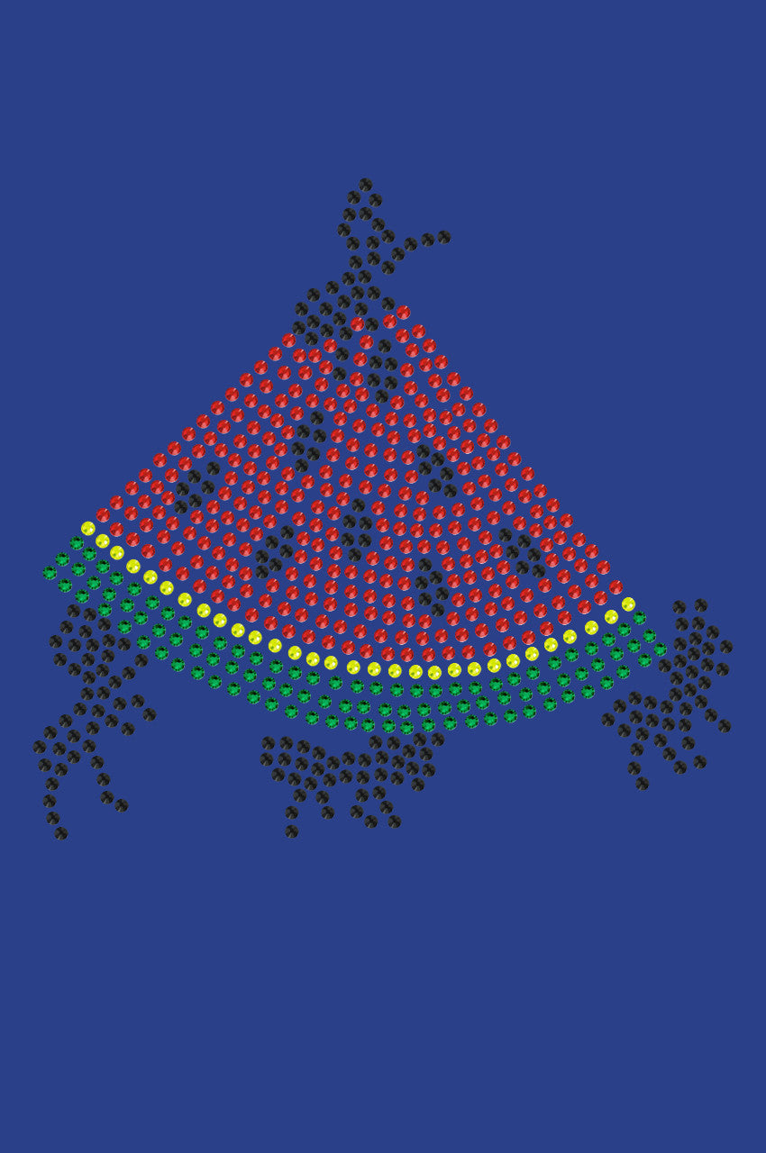 Watermelon with Ants - Custom Tutu