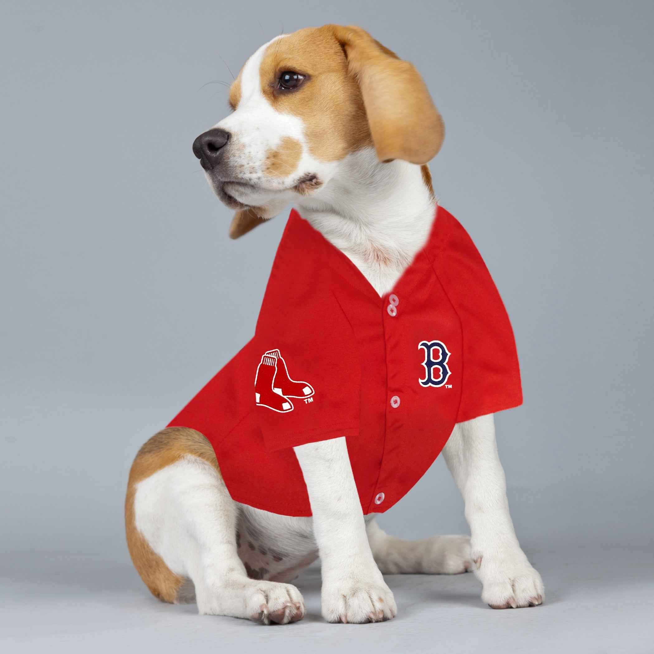 MLB Boston Red Sox Rafael Devers Mesh Pet Jersey