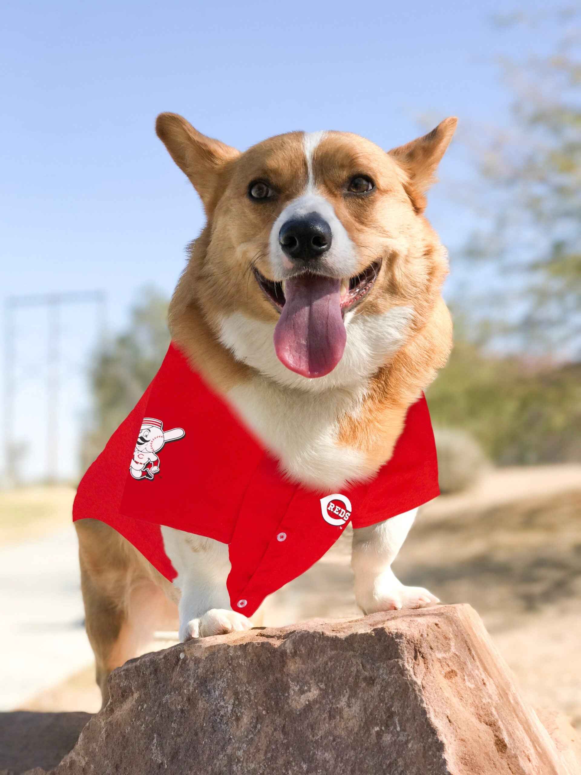 Cincinnati Reds Pet Jersey