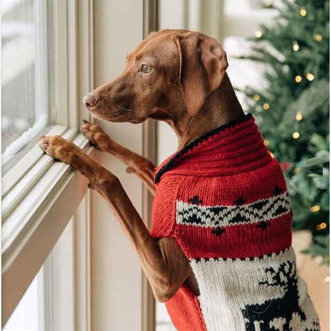 Chilly Dog Red Reindeer Shawl Wool Dog Sweater