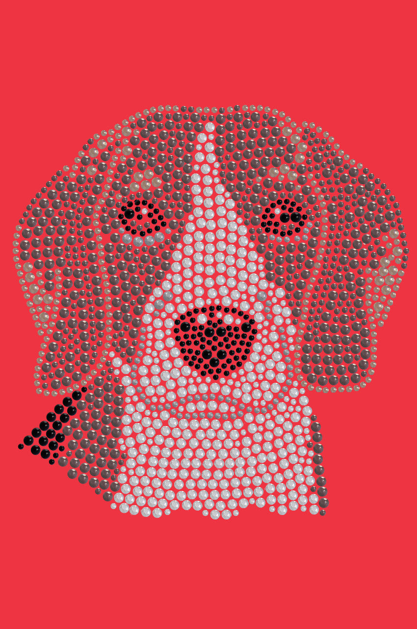 Beagle - bandana