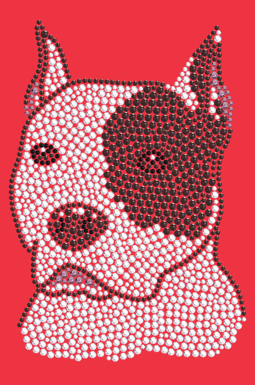 Pit Bull - bandana