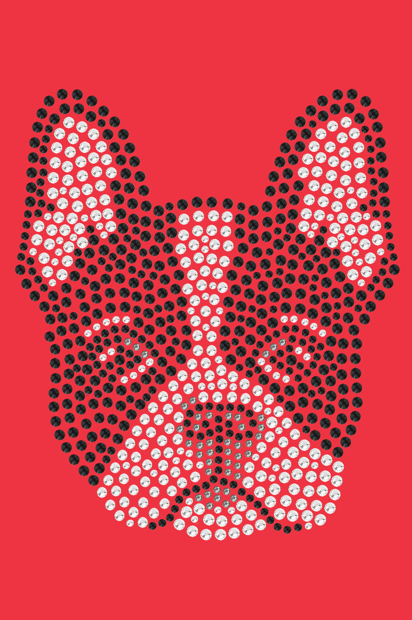 Boston Terrier - bandana