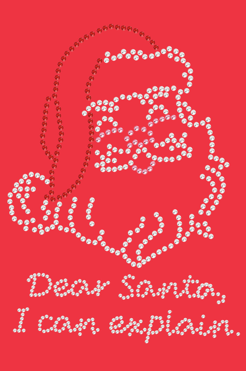 Santa Face - I Can Explain - Womens T-shirt