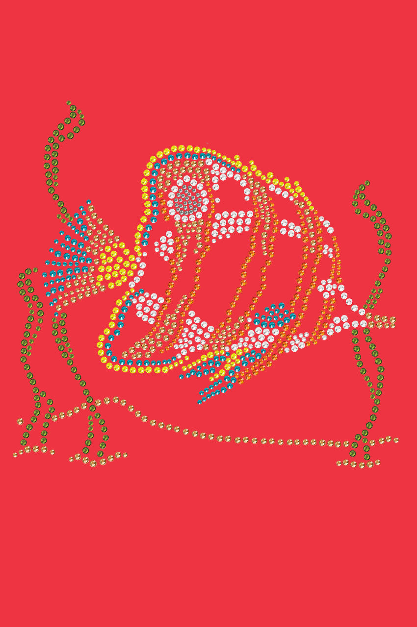 Fish (Orange & Blue) - Womens T-shirt
