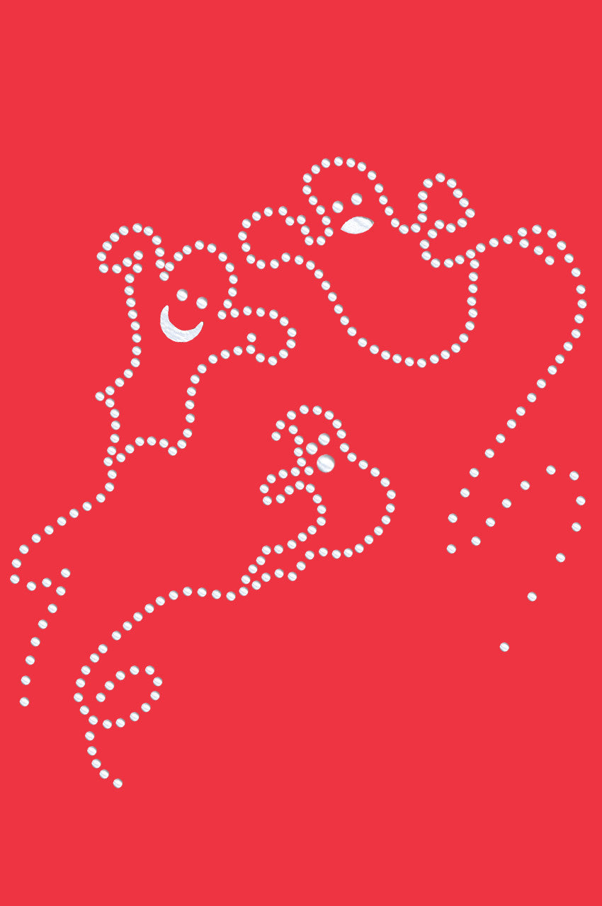 Nailhead Ghost - Women's T-shirt