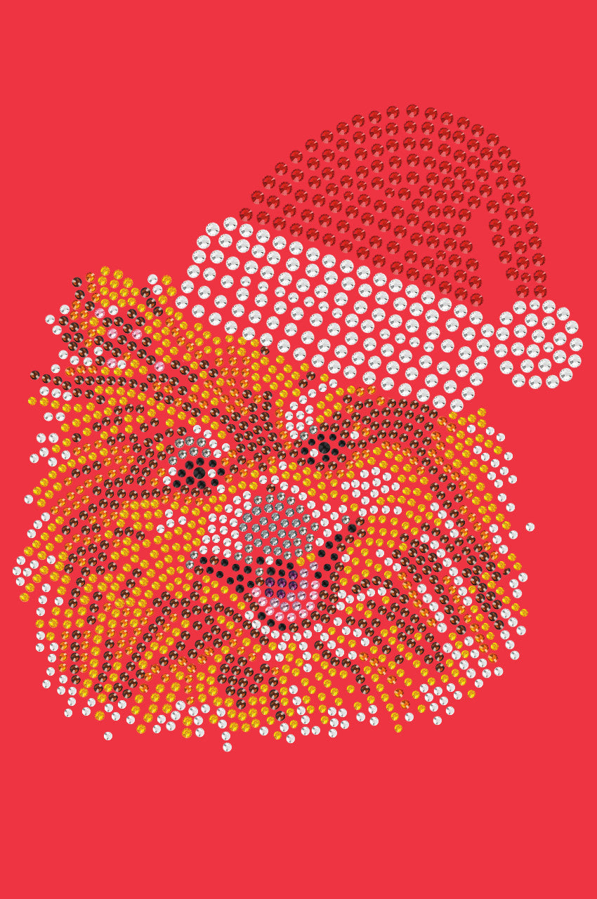 Pomeranian with Santa Hat - Womens T-shirt