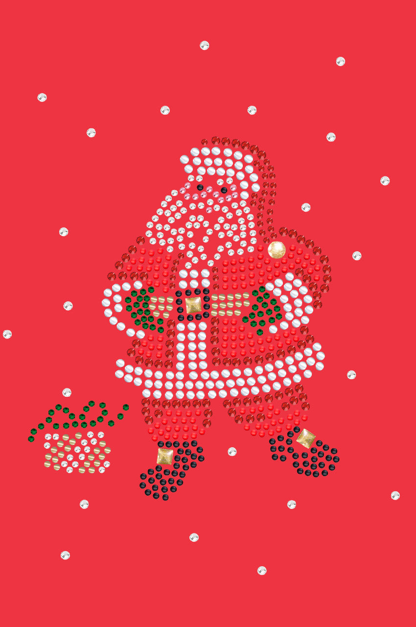 Santa with Snowflakes - Women's T-shirt