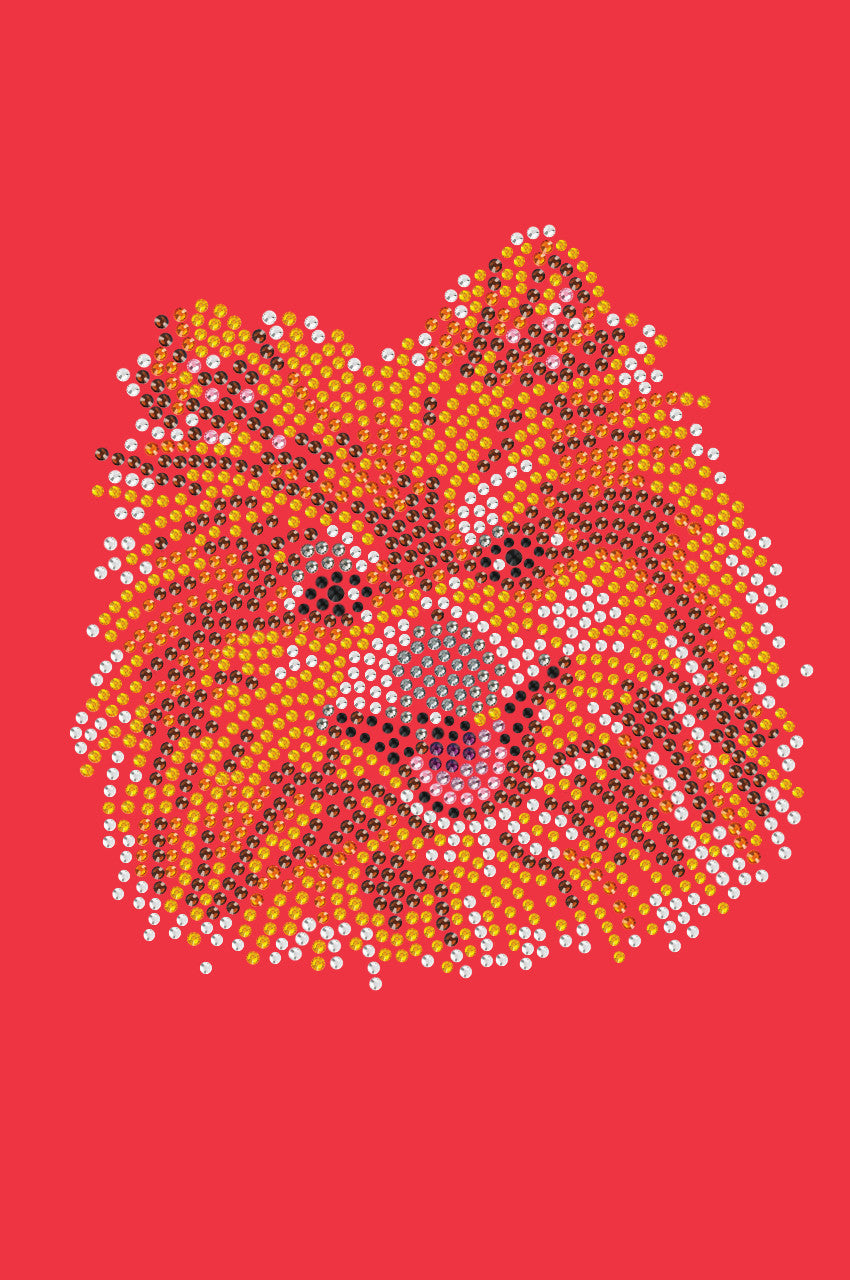 Pomeranian - bandana