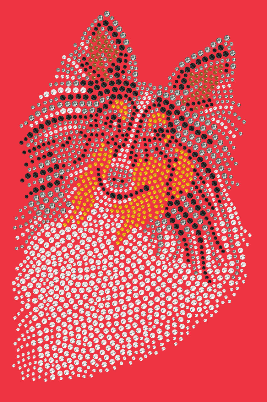 Sheltie Face (Tri Color) - bandana