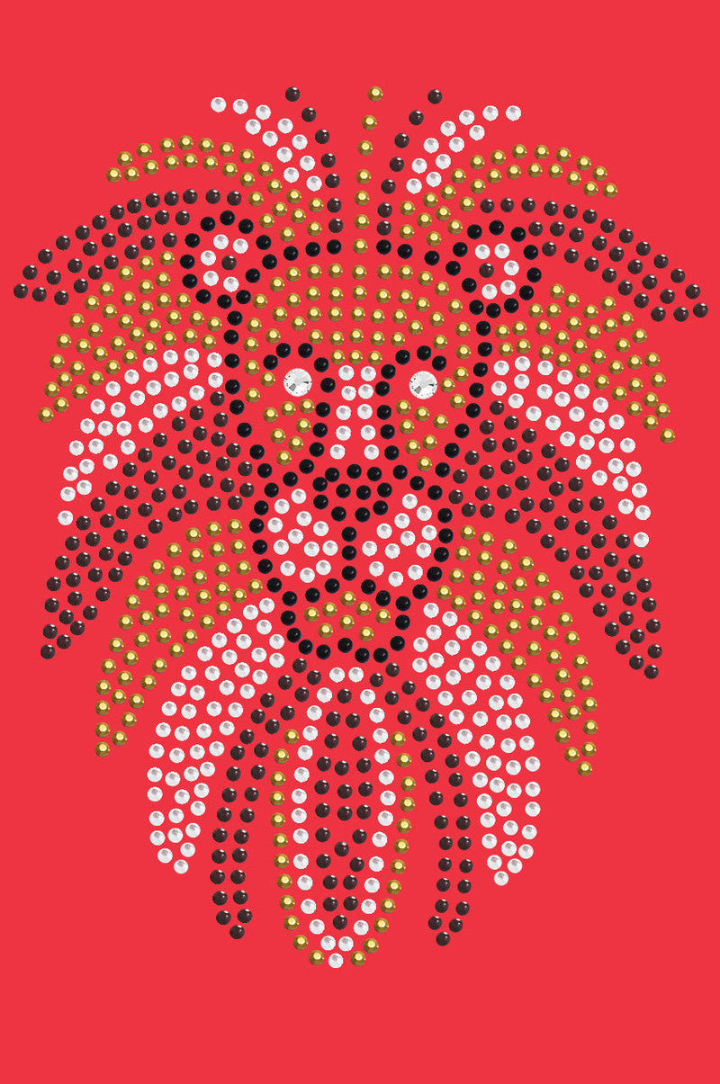 Lion Face - Women's T-shirt