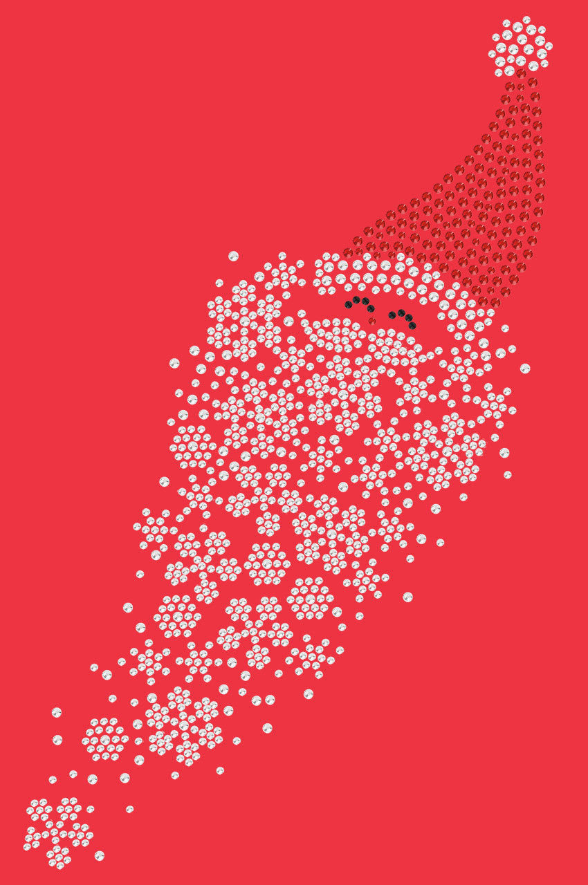 Santa Face with Snowflake Beard - Women's T-shirt