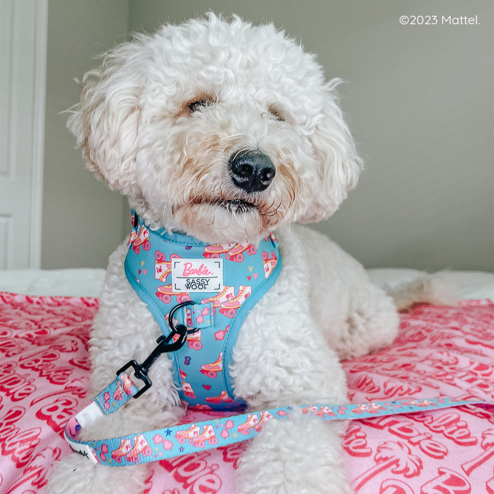 Dog Adjustable Harness - BARBIE™ On a Roll