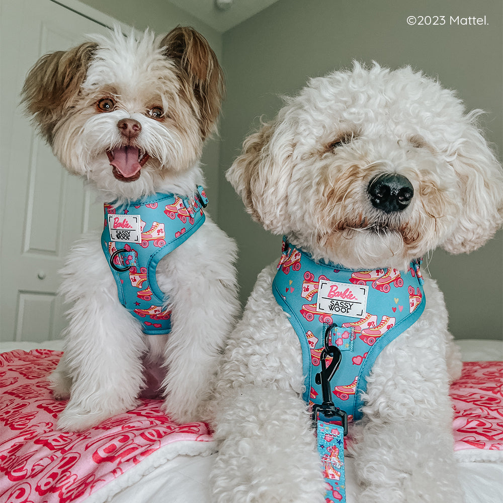 Dog Adjustable Harness - BARBIE™ On a Roll