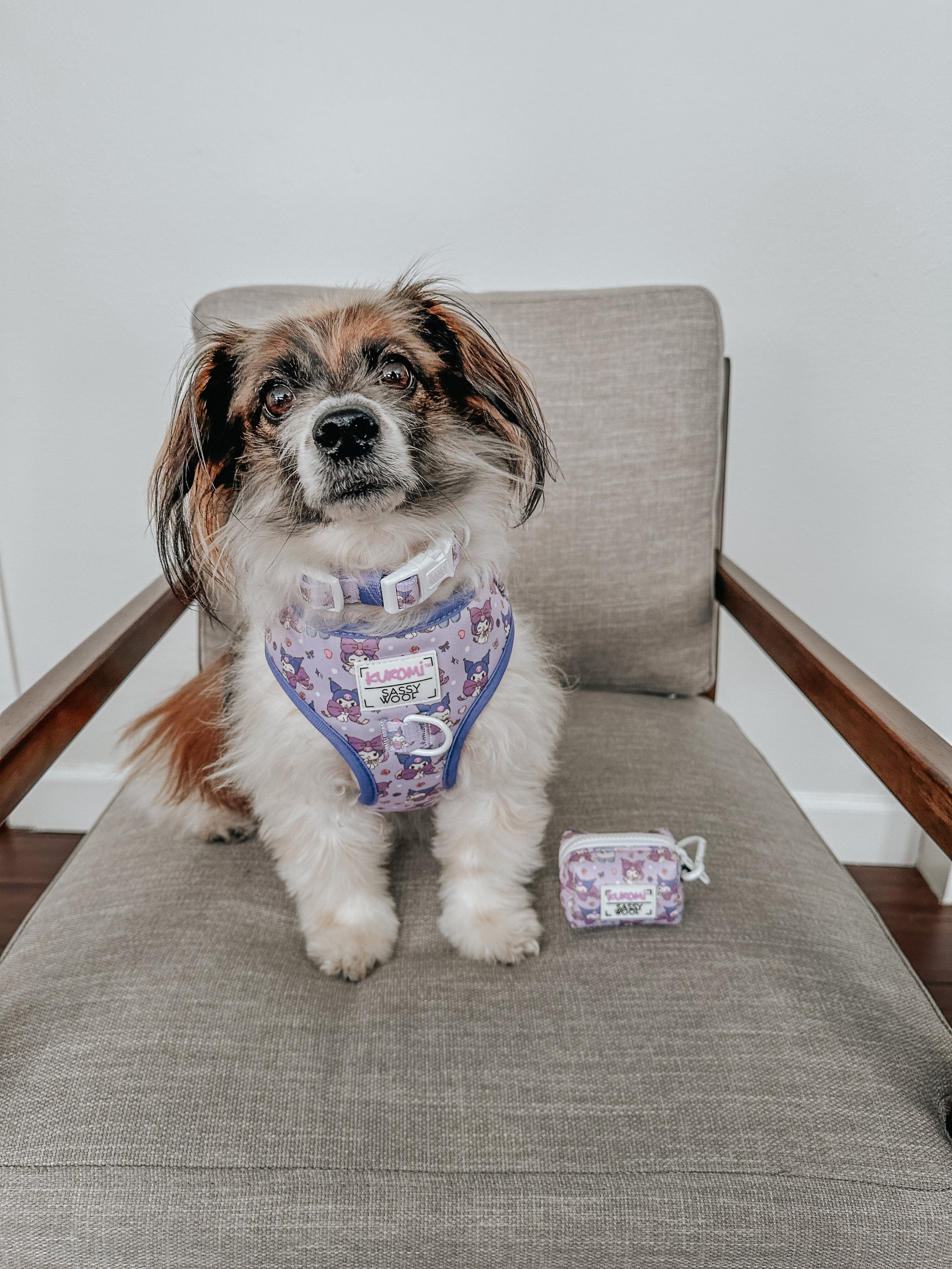 Dog Adjustable Harness - Kuromi™