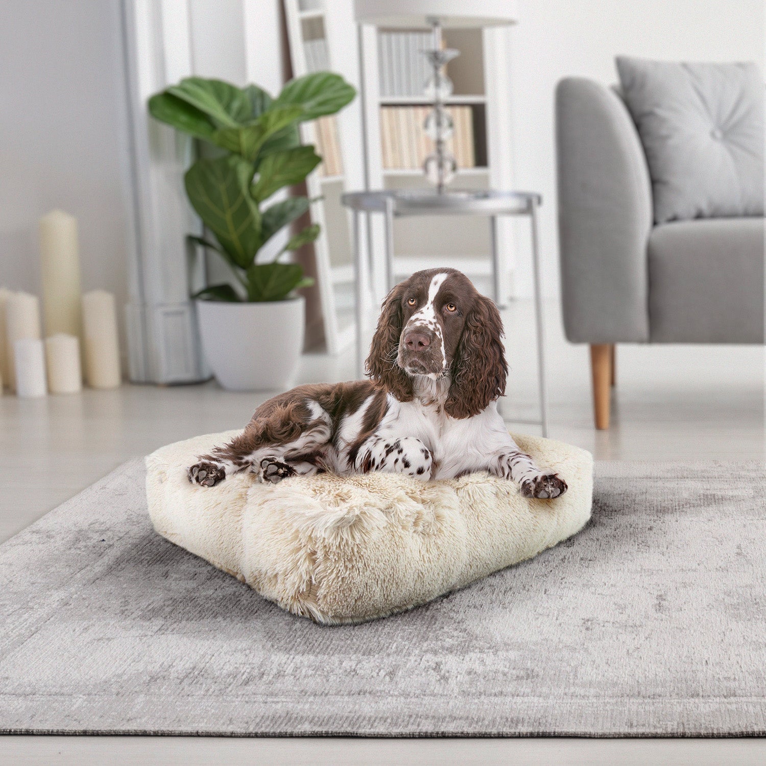 Bessie and Barnie other; fabric Dog Bed - multicolor-3; gray; brown - HT Animal Supply