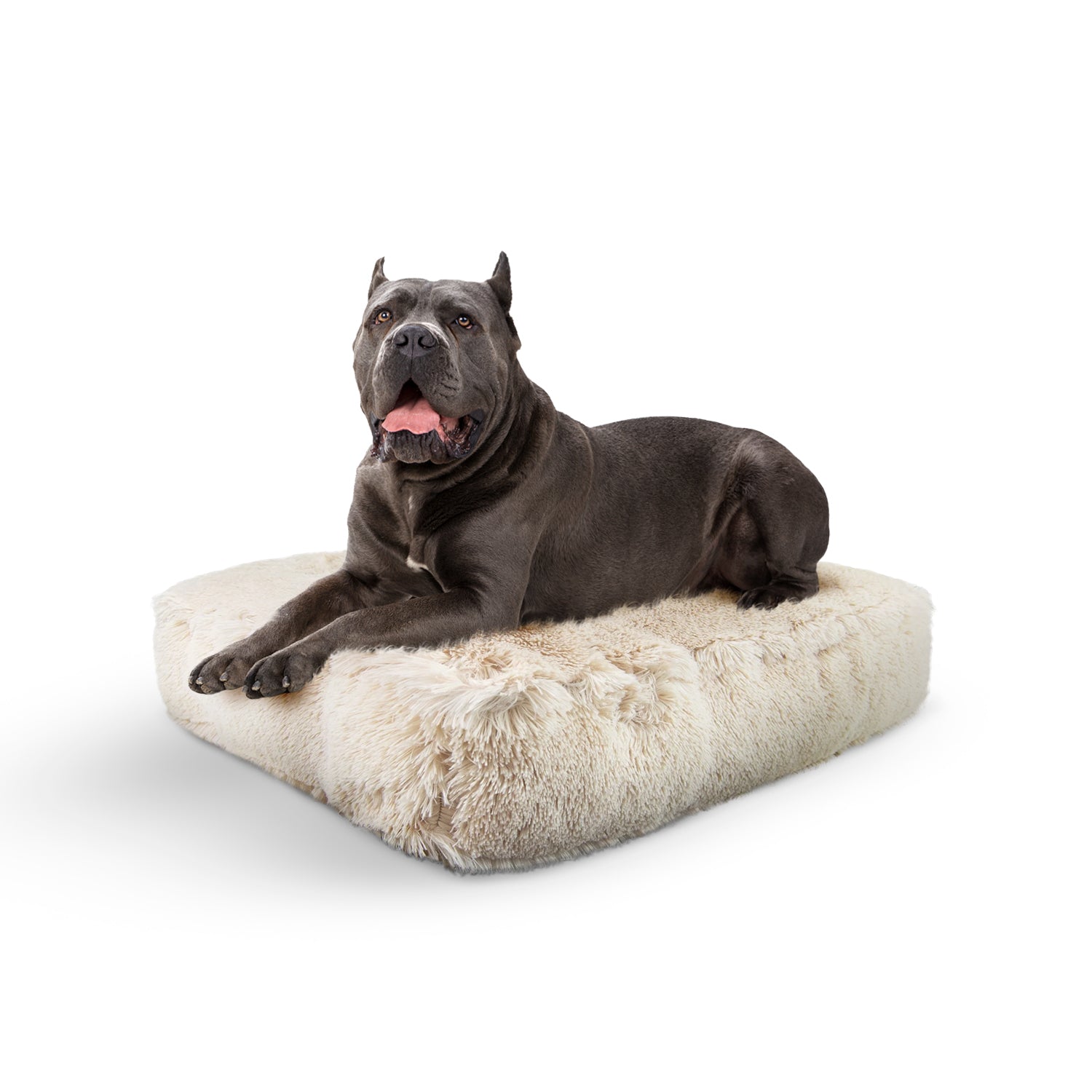 Bessie and Barnie other; fabric Dog Bed - multicolor-3; gray; brown - HT Animal Supply