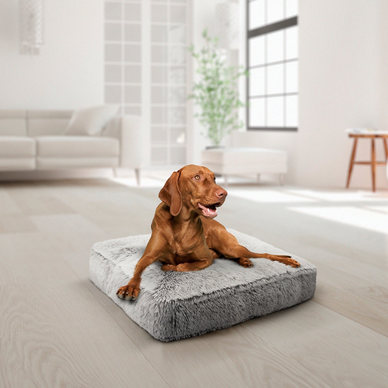 Bessie and Barnie other; fabric Dog Bed - multicolor-3; gray; brown - HT Animal Supply