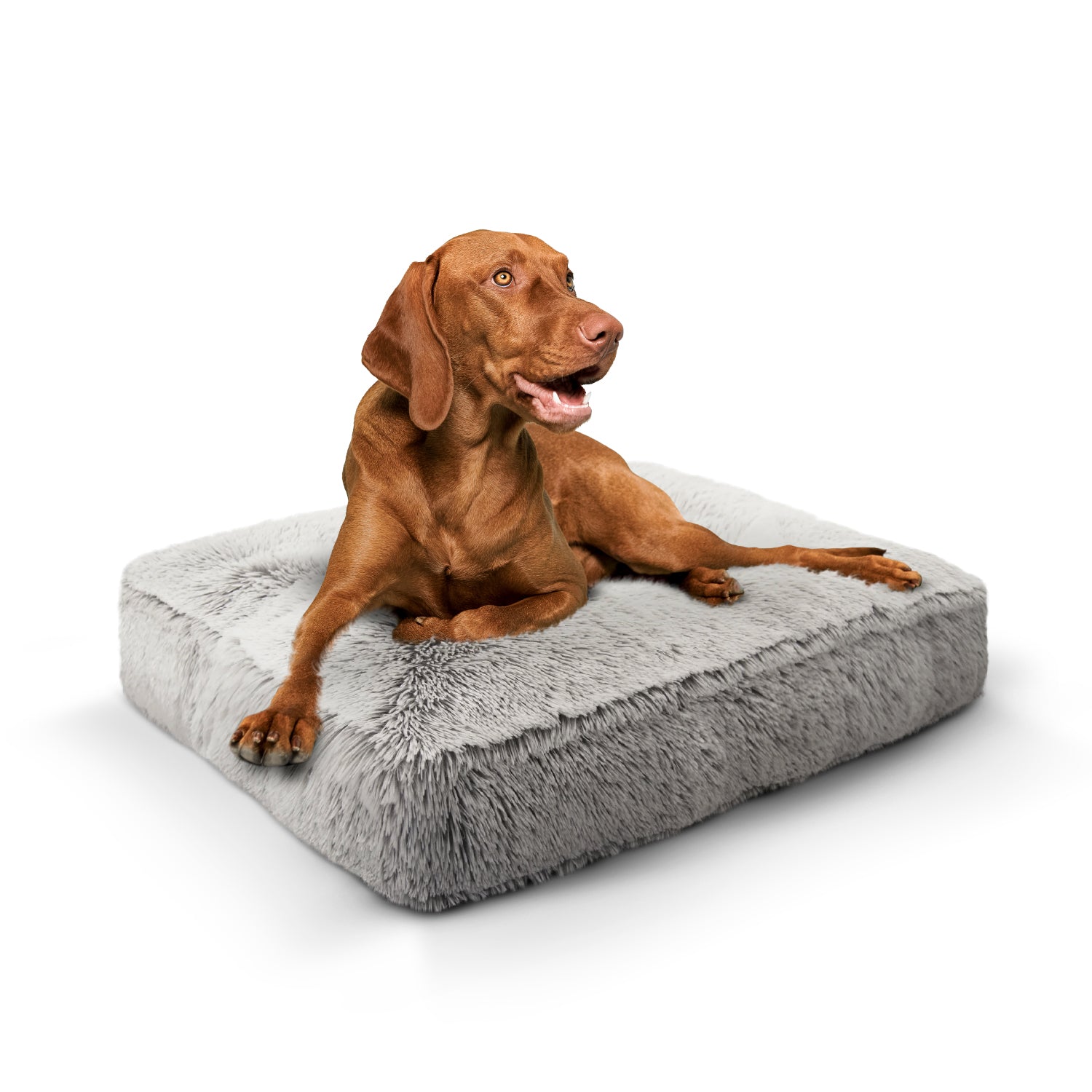 Bessie and Barnie other; fabric Dog Bed - multicolor-3; gray; brown - HT Animal Supply