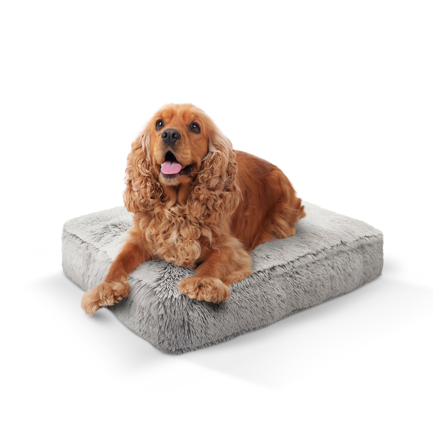 Bessie and Barnie other; fabric Dog Bed - multicolor-3; gray; brown - HT Animal Supply