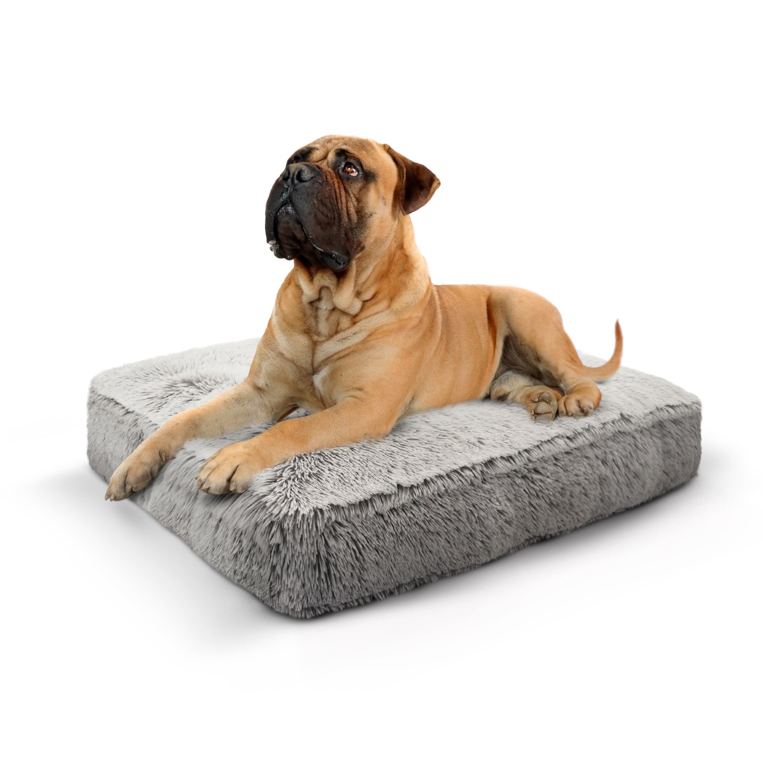 Bessie and Barnie other; fabric Dog Bed - multicolor-3; gray; brown - HT Animal Supply