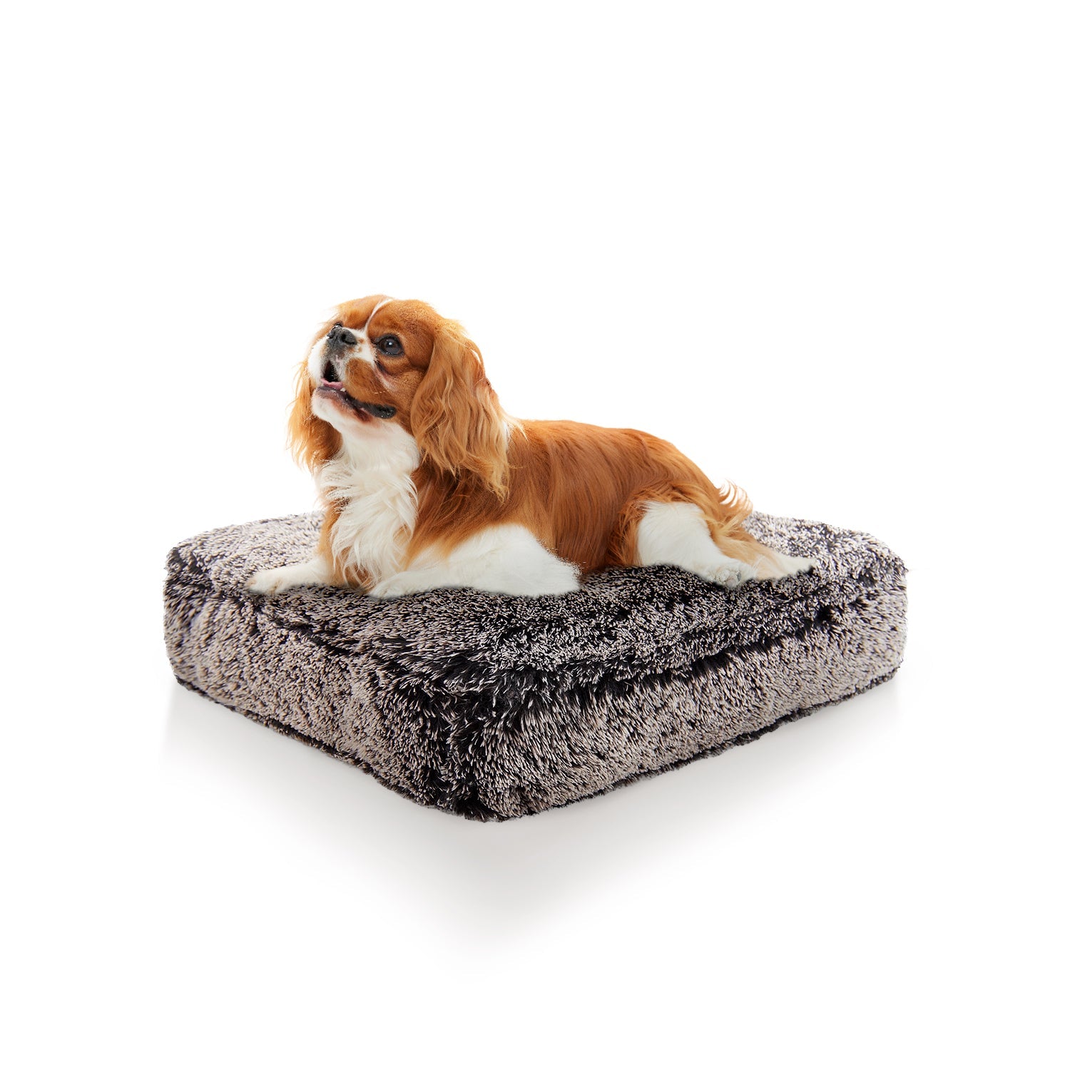 Bessie and Barnie other; fabric Dog Bed - multicolor-3; gray; brown - HT Animal Supply
