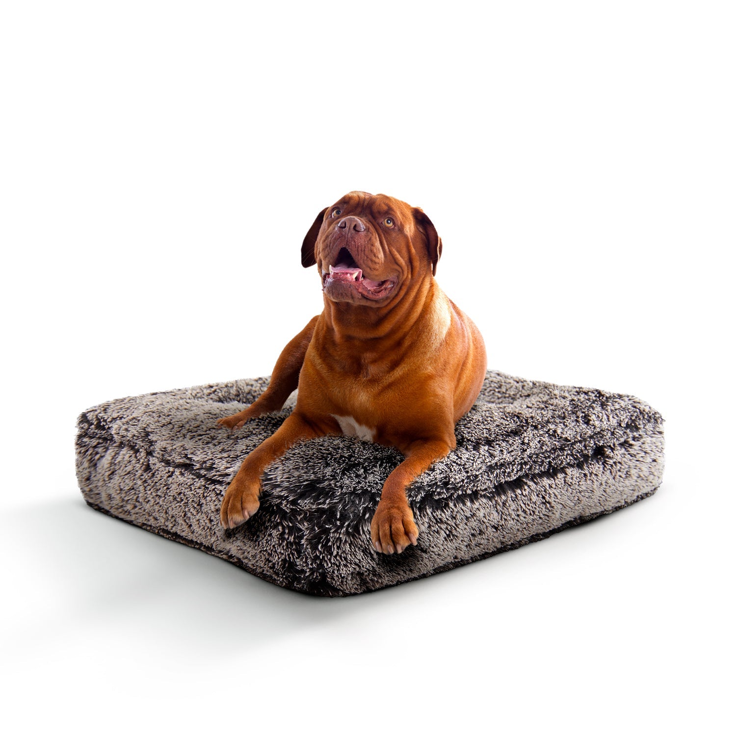 Bessie and Barnie other; fabric Dog Bed - multicolor-3; gray; brown - HT Animal Supply
