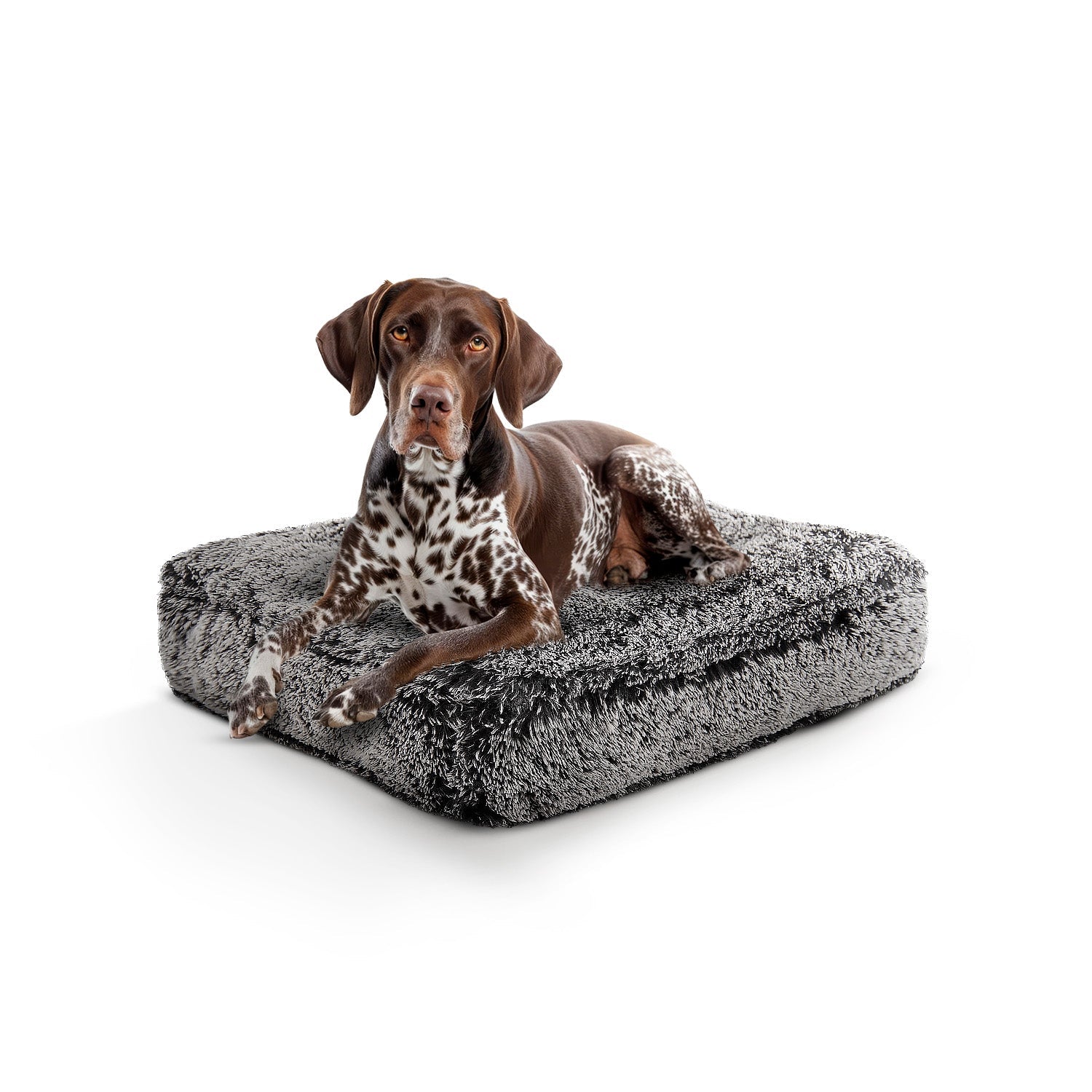 Bessie and Barnie other; fabric Dog Bed - multicolor-3; gray; brown - HT Animal Supply