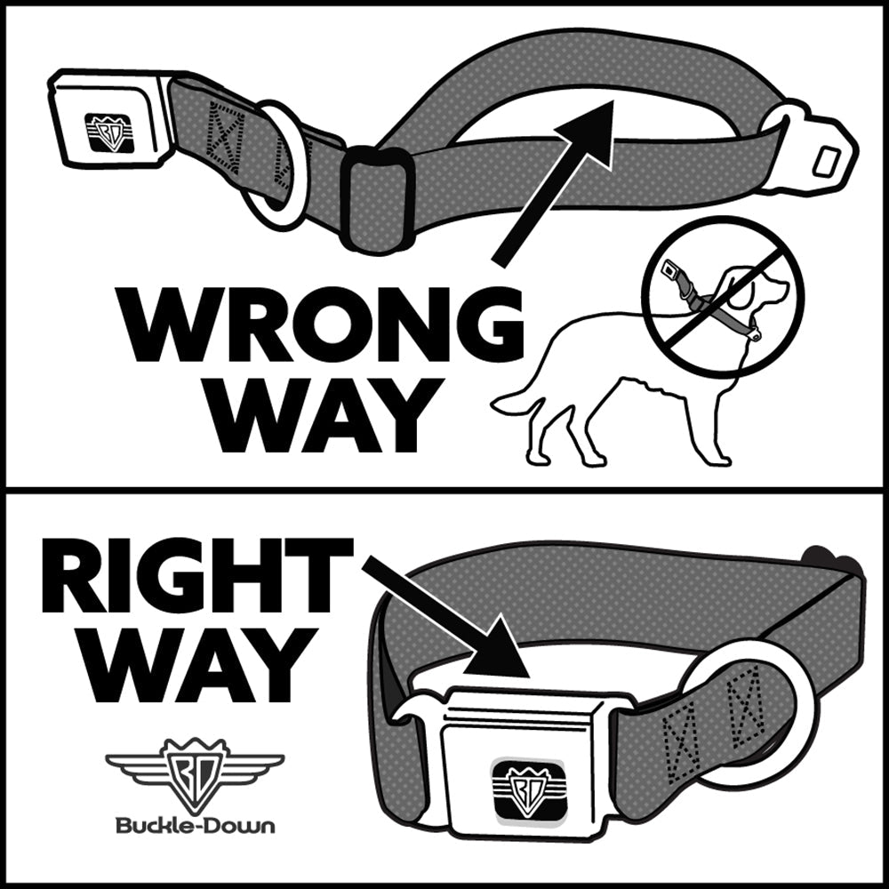Dog Bone Seatbelt Buckle Collar - Beach Surfer