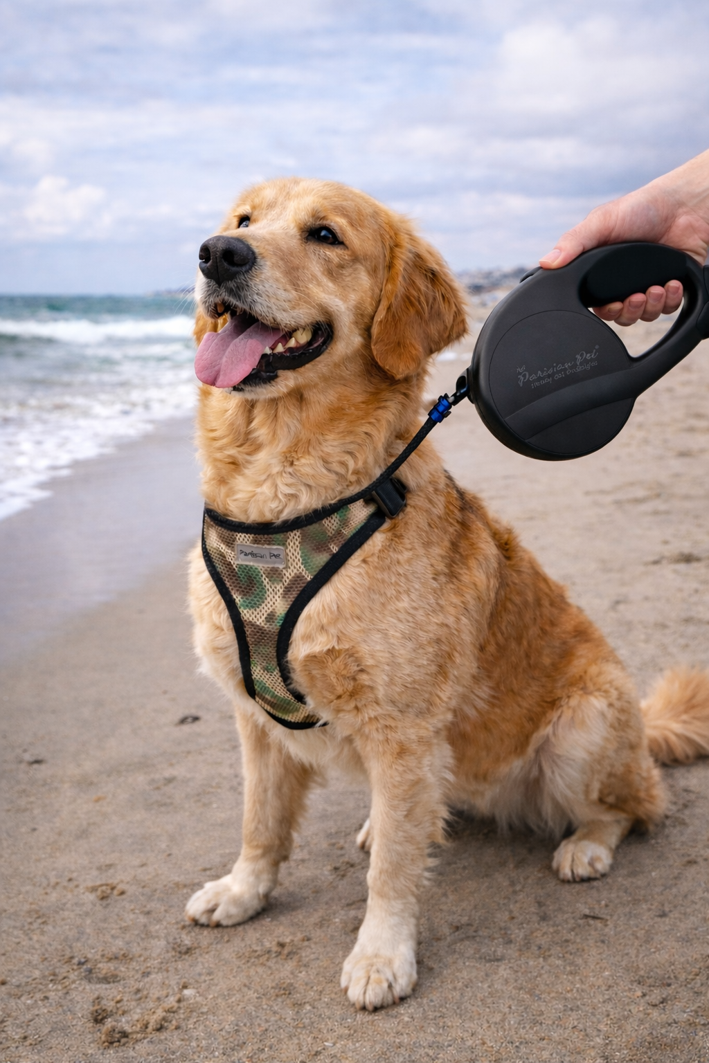 Parisian Pet Retractable Leash M-Black