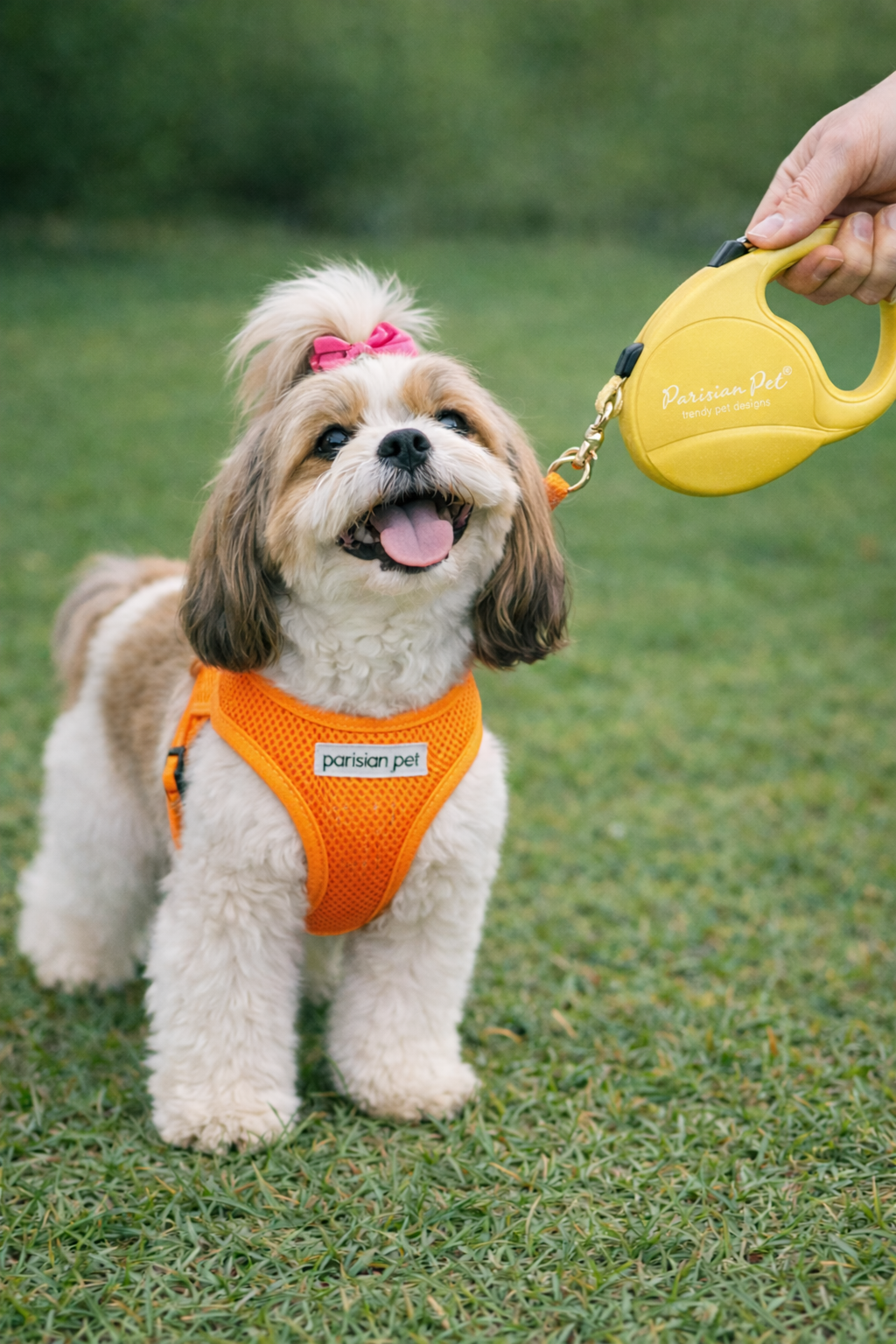 Parisian Pet Retractable Leash M-Yellow