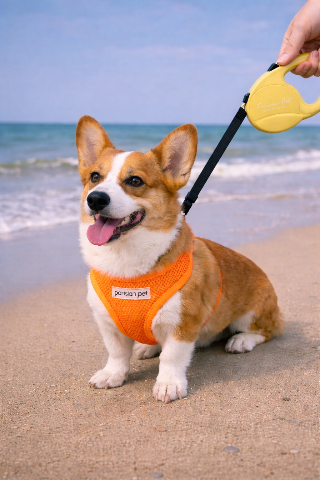 Parisian Pet Retractable Leash M-Yellow