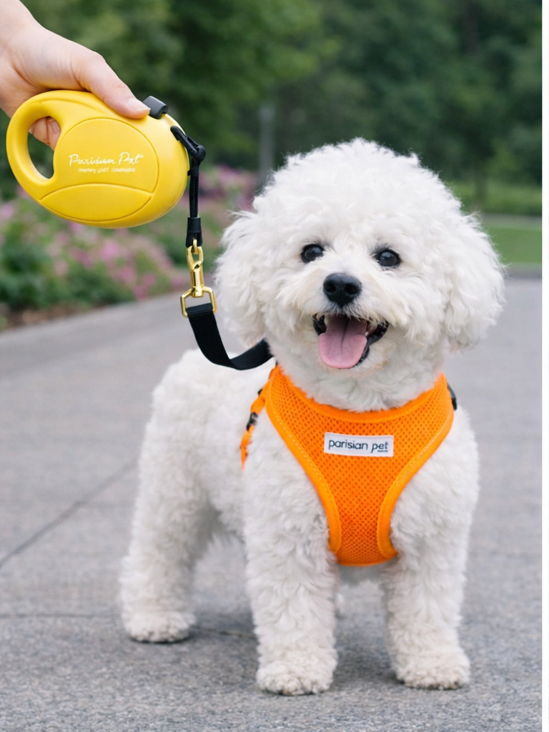 Parisian Pet Retractable Leash M-Yellow