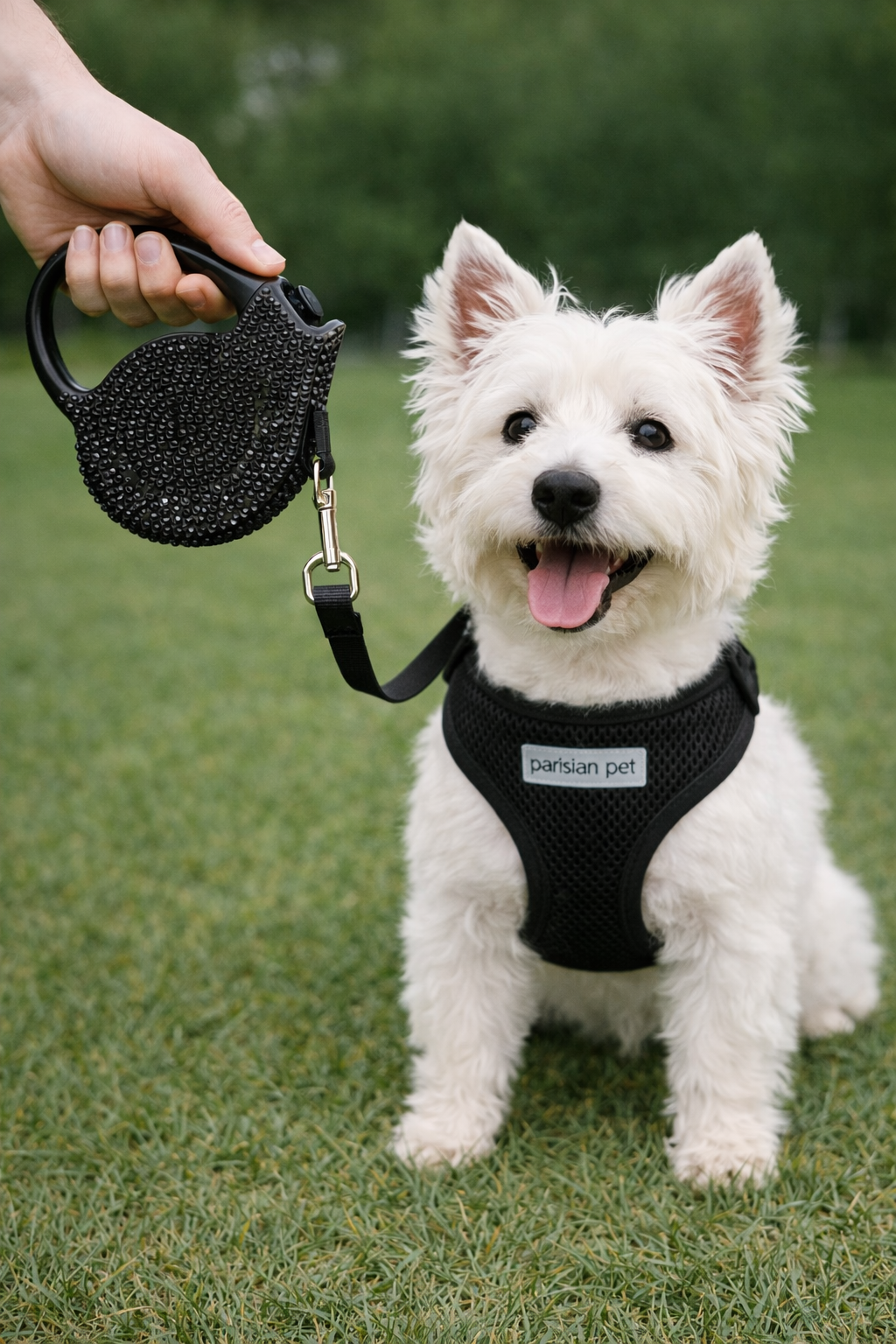 Parisian Pet Crystal Retractable Leash Black