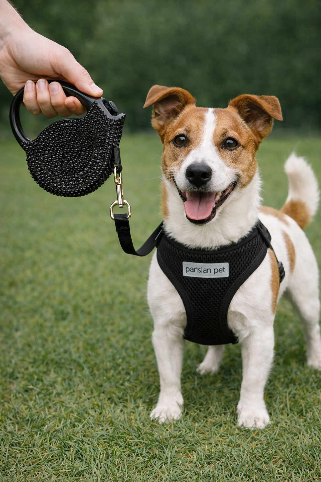 Parisian Pet Crystal Retractable Leash Black