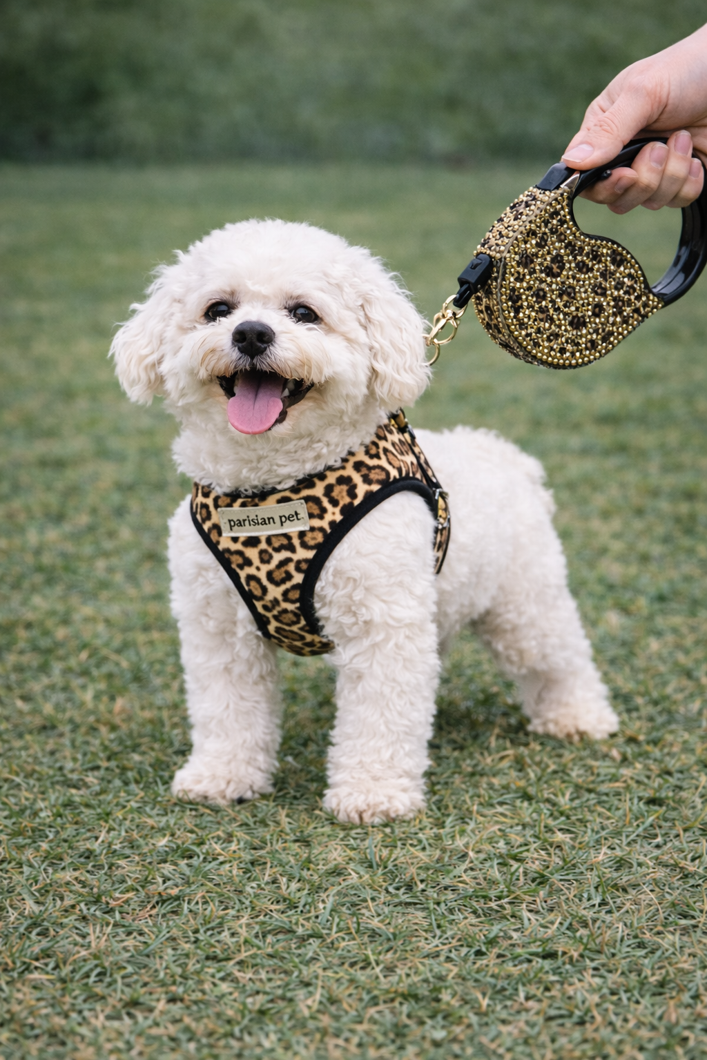 Parisian Pet Crystal Retractable Leash Leopard