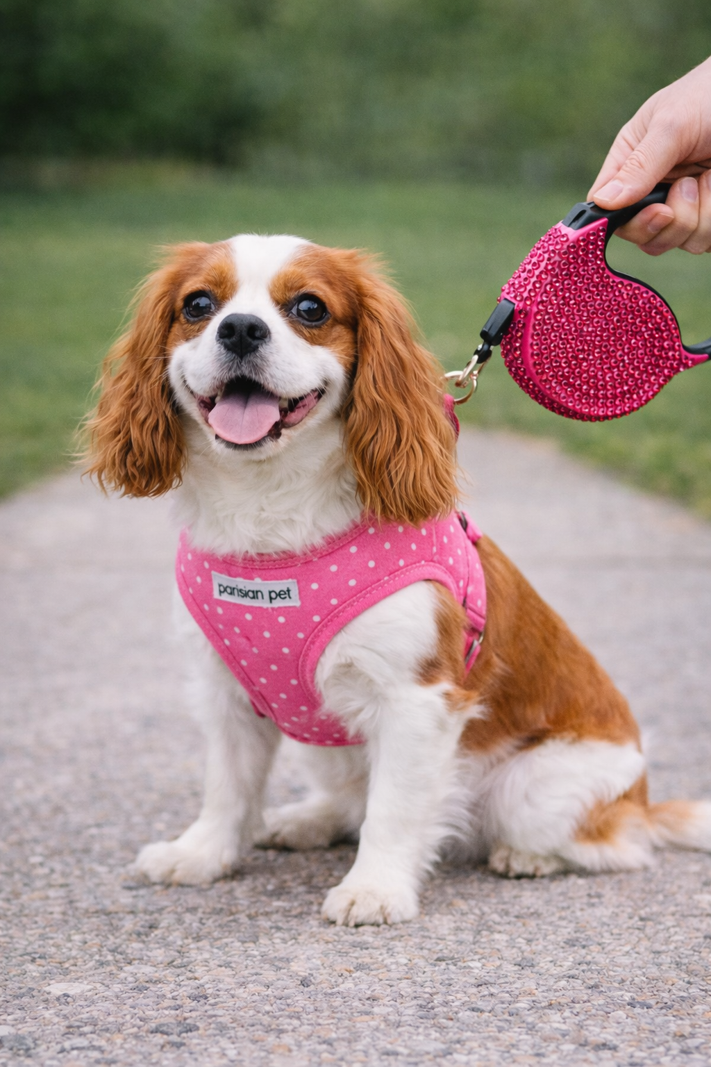 Parisian Pet Crystal Retractable Leash Dark Pink